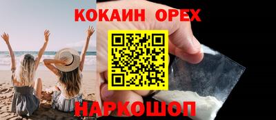 ешки Кингисепп