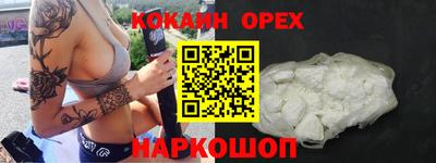 крисы Кинель