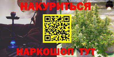 ешки Кингисепп