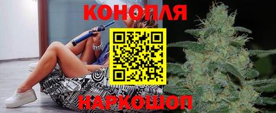 ешки Кингисепп