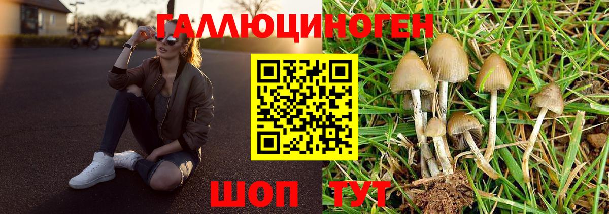 Псилоцибиновые грибы ЛСД Кемерово
